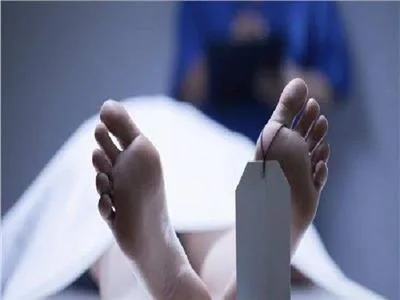 المنيا: وفاة شاب في سمالوط نتيجة صدمة عصبية جراء لدغة نحلة المنيا: وفاة شاب في سمالوط نتيجة صدمة عصبية جراء لدغة نحلة