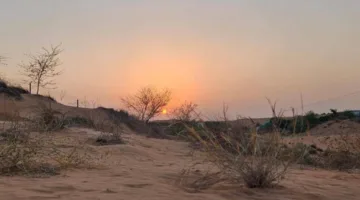 21 يونيو: انطلاق فصل الصيف وفقاً للتقويم الفلكي