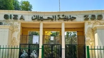 عاجل.. وزارة “الزراعة” تعلن عن تاريخ افتتاح “حديقة الحيوان” وآخر مستجدات خطة التطوير.
