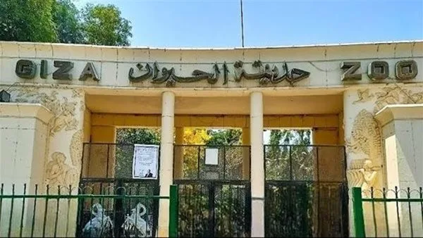 عاجل.. وزارة “الزراعة” تعلن عن تاريخ افتتاح “حديقة الحيوان” وآخر مستجدات خطة التطوير.