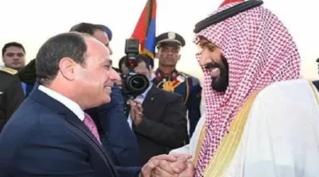 تفاصيل قرار الرئيس بالموافقة على إنشاء المجلس التنسيقي الأعلى بين مصر والسعودية