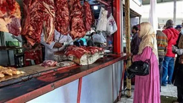 270 جنيهًا للكيلو.. إقبال واسع على شراء لحوم عيد الأضحى من منافذ وزارة الزراعة 270 جنيهًا للكيلو.. إقبال واسع على شراء لحوم عيد الأضحى من منافذ وزارة الزراعة