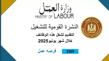 3,000 New Job Opportunities Across 14 Governorates: Specializations and Application Steps
