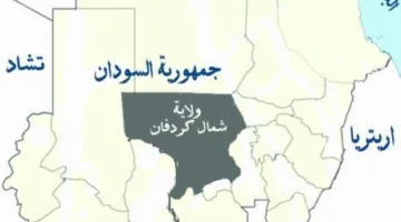 مدير سجون ولاية شمال كردفان يتفقد أعمال الصيانة في سجن محلية الرهد أبو دكنة