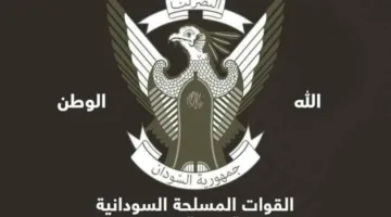 القوات المسلحة: الدعم السريع وقوات حفتر يشنون هجومًا على المثلث الحدودي بين السودان ومصر وليبيا