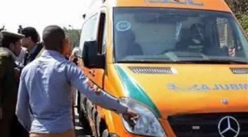 وفاة امرأة إثر تعرضها للدهس تحت عجلات القطار أثناء عبورها مزلقان في البحيرة