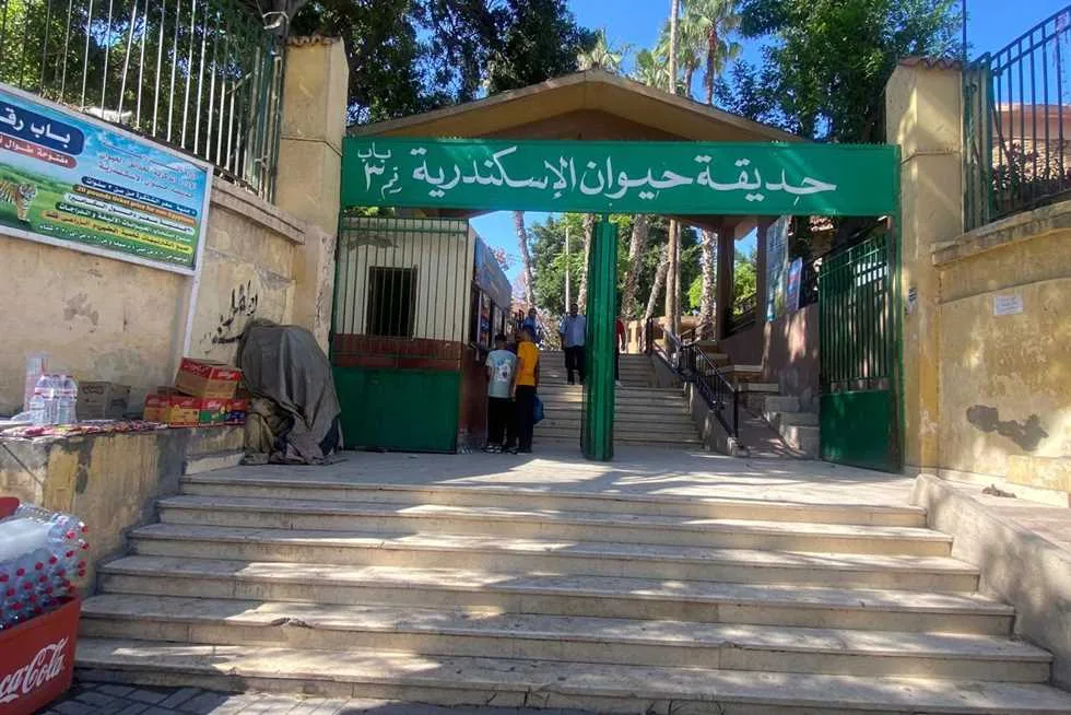 38 ألف زائر لحدائق الحيوانات والأحياء المائية في أول يومين من عيد الأضحى 38 ألف زائر لحدائق الحيوانات والأحياء المائية في أول يومين من عيد الأضحى