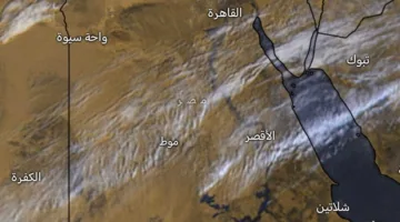 «4 ساعات من الحذر» .. إنذار قوي حول الطقس اليوم: «تابعوا حالة الطرق»