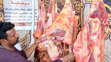 تموين الأقصر يتهيأ لعيد الأضحى من خلال توفير شوادر للحوم المدعومة وتنفيذ حملات رقابية واسعة