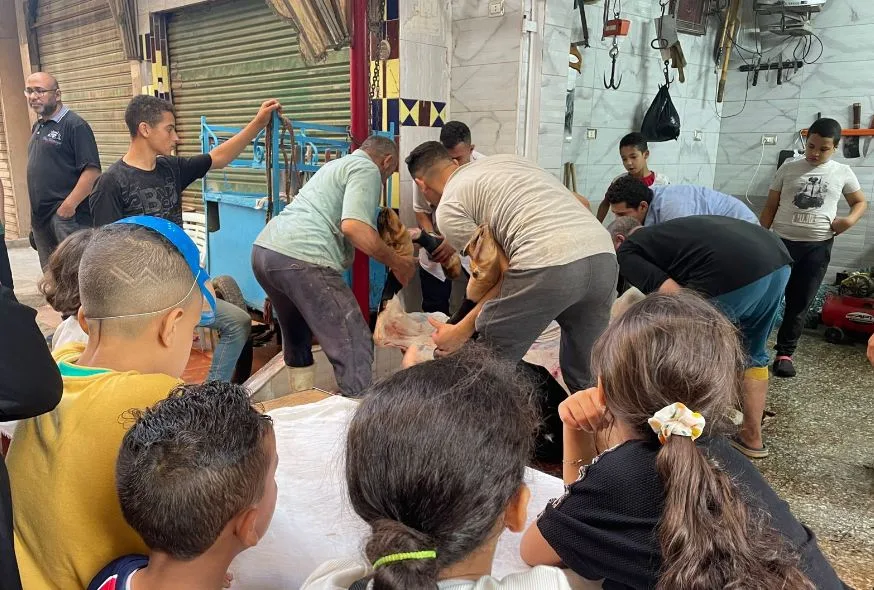 شمال سيناء تحذر من الذبح في الشوارع خلال عيد الأضحى وتعلن عن عقوبات قانونية للمخالفين شمال سيناء تحذر من الذبح في الشوارع خلال عيد الأضحى وتعلن عن عقوبات قانونية للمخالفين