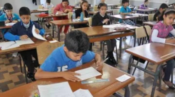 نتائج الطلاب للصف الرابع الابتدائي للفصل الدراسي الثاني 2025 برقم الجلوس