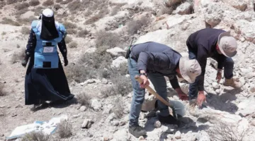 سوريون يتطوعون لتنظيف وطنهم من آثار الحرب