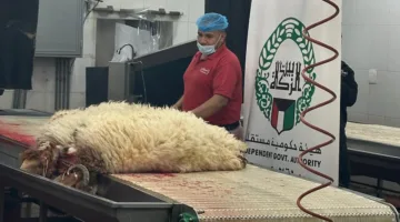 بيت الزكاة يُكمل تنفيذ مشروع الأضاحي.