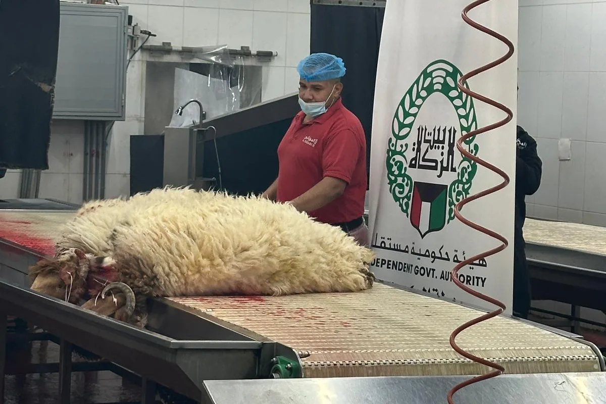 بيت الزكاة يُكمل تنفيذ مشروع الأضاحي. بيت الزكاة يُكمل تنفيذ مشروع الأضاحي.
