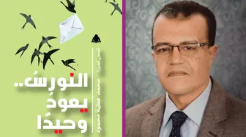 «عودة النورس بمفرده» للكاتب محمد عطية