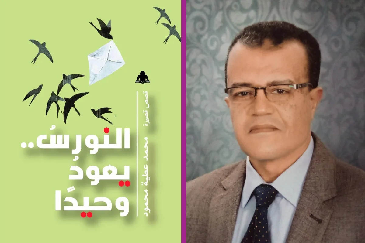 «عودة النورس بمفرده» للكاتب محمد عطية «عودة النورس بمفرده» للكاتب محمد عطية