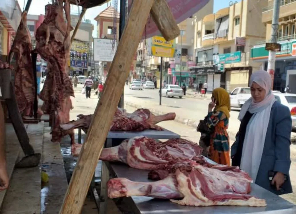 الطب البيطري في شمال سيناء: ذبح 16 أضحية في أول أيام العيد وإتلاف حيوانات مصابة بالطفيليات والسل الطب البيطري في شمال سيناء: ذبح 16 أضحية في أول أيام العيد وإتلاف حيوانات مصابة بالطفيليات والسل