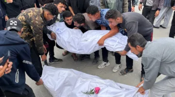 47 شهيدًا و388 مصابًا نتيجة عدوان الاحتلال على غزة خلال 24 ساعة