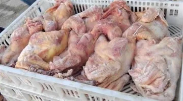 جلسة منتظرة يوم السبت المقبل للنظر في استئناف مدير مطعم “الأغا” ضد حكم الحبس والغرامة