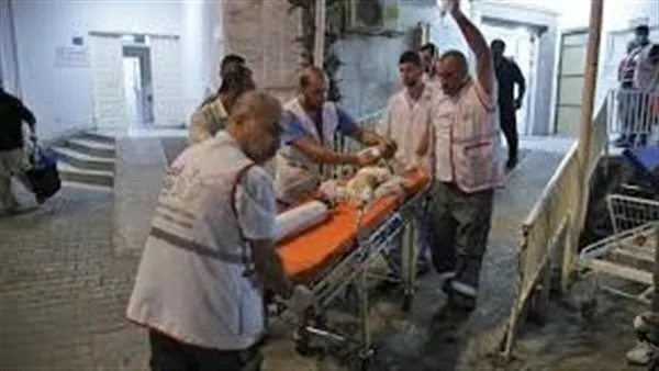 مقتل أكثر من 45 فلسطينياً أثناء توزيع المساعدات في خان يونس مقتل أكثر من 45 فلسطينياً أثناء توزيع المساعدات في خان يونس