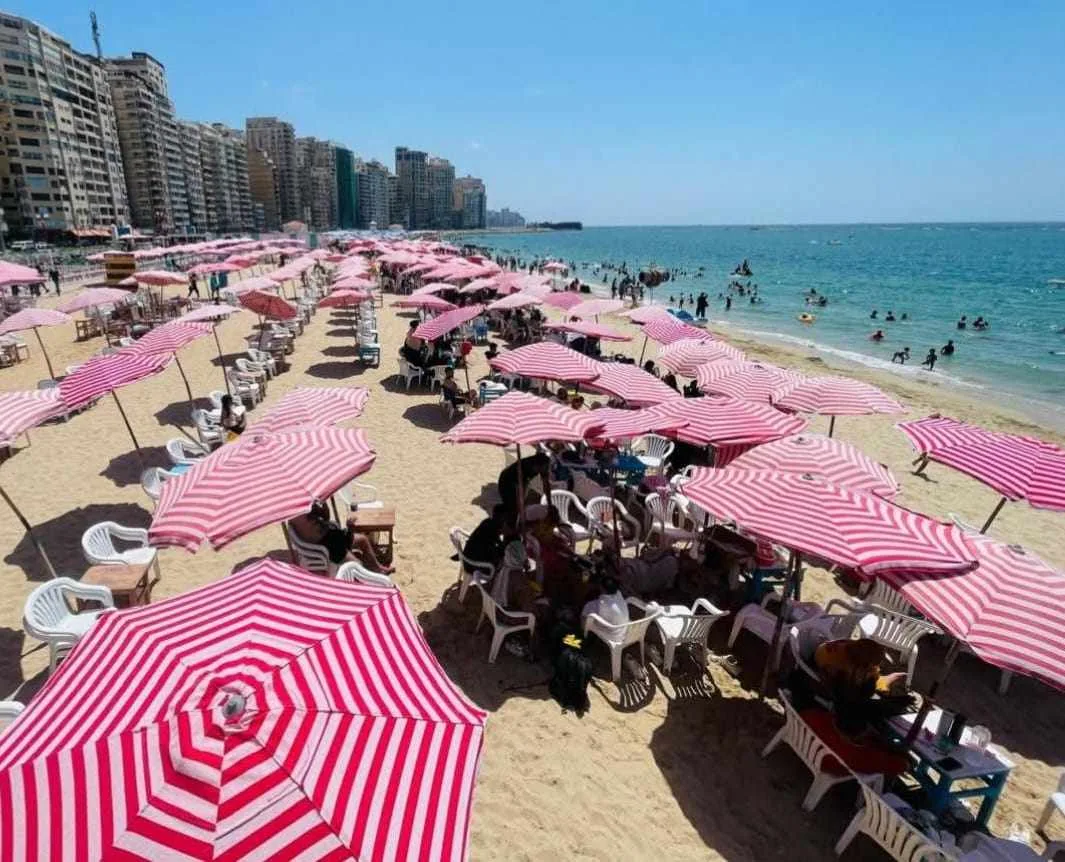 طاحونة المندرة: معلومات عن شاطئ تاريخي في الإسكندرية يعود لحقبة محمد علي طاحونة المندرة: معلومات عن شاطئ تاريخي في الإسكندرية يعود لحقبة محمد علي