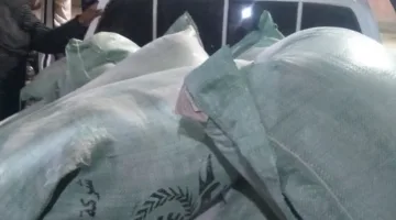 مصادرة 10 أطنان من القمح غير الصالح لصناعة الفريك والبرغل والتوابل في بني سويف