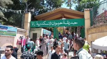 إقبال ملحوظ على حديقة Zoo بالإسكندرية