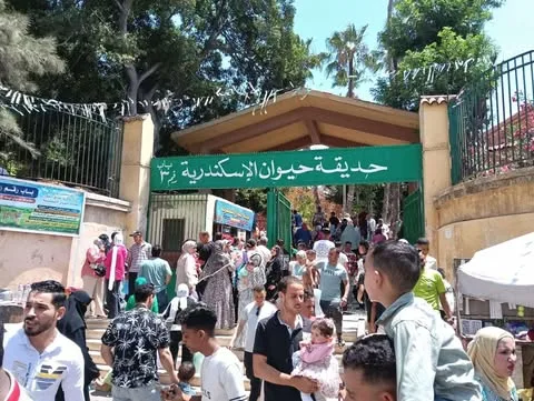 إقبال ملحوظ على حديقة Zoo بالإسكندرية