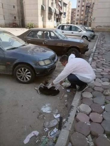 مديرية الطب البيطري تنظم حملة لتلقيح الكلاب الشاردة ضد داء السعار في حي الجنوب ببورسعيد. مديرية الطب البيطري تنظم حملة لتلقيح الكلاب الشاردة ضد داء السعار في حي الجنوب ببورسعيد.