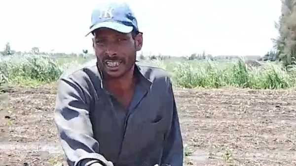 فلاح من كفر الشيخ يشتكي: “دمّروا أرضي وضاعت محصول القطن.. والرزق فقد” فلاح من كفر الشيخ يشتكي: “دمّروا أرضي وضاعت محصول القطن.. والرزق فقد”