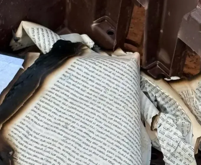 مراكز الشباب في جنوب سيناء تتابع أنشطة مبادرة “العيد أجمل” مراكز الشباب في جنوب سيناء تتابع أنشطة مبادرة “العيد أجمل”