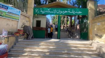 الزراعة: حدائق الحيوانات والأحواض المائية تستضيف أكثر من 38 ألف زائر في اليومين الأولين من العيد