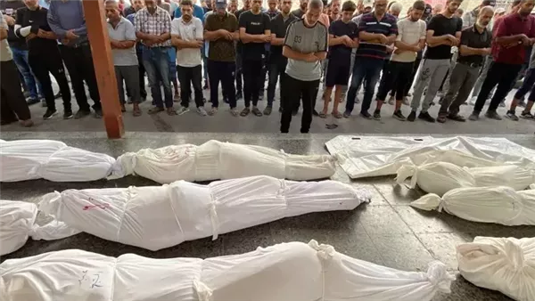 استشهاد 8 فلسطينيين بنيران الاحتلال الإسرائيلي قرب مركز إغاثة في رفح جنوب غزة استشهاد 8 فلسطينيين بنيران الاحتلال الإسرائيلي قرب مركز إغاثة في رفح جنوب غزة