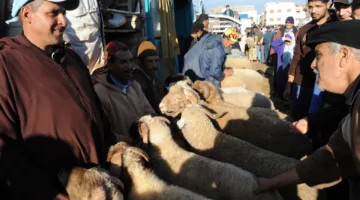 الجموع الوطنية.. وزارة الداخلية تدعو الولاة لجمع معلومات دقيقة وضمان احترام معايير الدعم