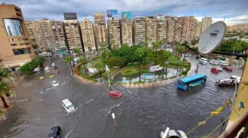وزيرة البيئة: نتخذ إجراءات لمواجهة خطر inundation في الإسكندرية والدلتا.. وقد أنشأنا 16 مدينة في الصحراء المصرية