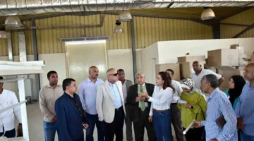 محافظ الأقصر يزور مدرسة العديسات الصناعية ويستعرض إمكانية تشغيل مصنع لمبات LED لتوفير تدريب عملي للطلاب