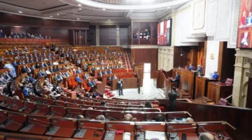 بايتاس يرفض الاعتراض على تقديم المسطرة الجنائية للمحكمة الدستورية