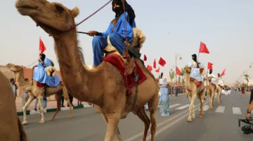 المغرب يجمع الإنجازات الدبلوماسية ويقرب المشروع الانفصالي من نهايته.