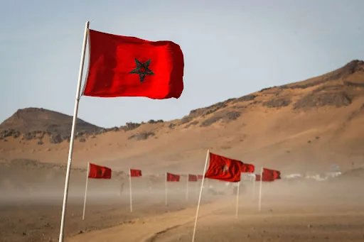 معهد إسباني: إنهاء الجزائر لعلاقتها بالبوليساريو شرط للتقارب مع الولايات المتحدة معهد إسباني: إنهاء الجزائر لعلاقتها بالبوليساريو شرط للتقارب مع الولايات المتحدة