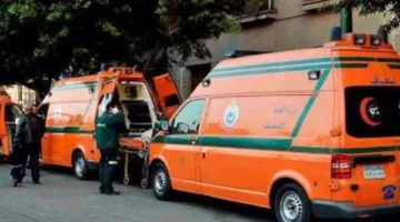 محافظ القاهرة يشارك المواطنين احتفالات عيد الأضحى في الحديقة الدولية