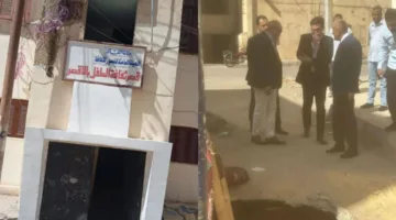 النيابة الإدارية: فتح تحقيق سريع في انتهاكات خطيرة في قصرى ثقافة الأقصر والطفل عقب إعلان وزير الثقافة عن محاولات غير مصرح بها للحفر.