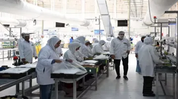 7600 فرصة عمل: مدبولي يقوم بجولة في شركة مغربي الزراعية “مافا”