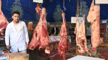 البحيرة: 45 خيمة لبيع اللحوم وأسواق متحركة تحضيرًا لعيد الأضحى