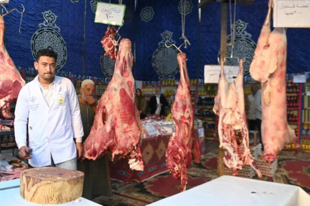 البحيرة: 45 خيمة لبيع اللحوم وأسواق متحركة تحضيرًا لعيد الأضحى البحيرة: 45 خيمة لبيع اللحوم وأسواق متحركة تحضيرًا لعيد الأضحى