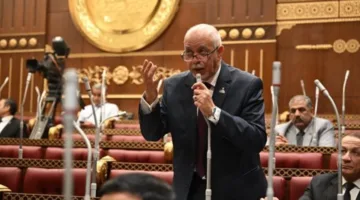 النائب حازم الجندي: مبادرة “مصر معاكم” تعكس تقدير الدولة لشهدائها وتضحياتهم الغالية من أجل أمن البلاد.