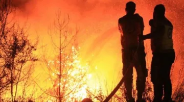 سوريا: تحديات في السيطرة على حريق في غابات اللاذقية