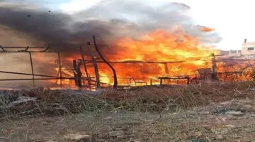 المنوفية: حريق في حظيرة للماشية بقرية مليج يسفر عن نفوق بعض الحيوانات دون وقوع إصابات بشرية.