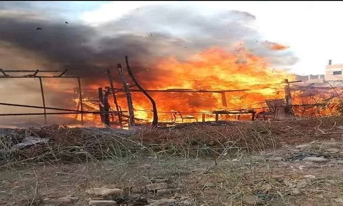 المنوفية: حريق في حظيرة للماشية بقرية مليج يسفر عن نفوق بعض الحيوانات دون وقوع إصابات بشرية.