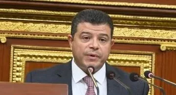 النائب محمد سليمان: قانون ملكية الدولة يهدف إلى زيادة عوائد الثروات وليس للخصخصة.