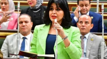 وسائل التواصل النيابي: جماعة الإخوان تروج الشائعات لزعزعة استقرار البلاد